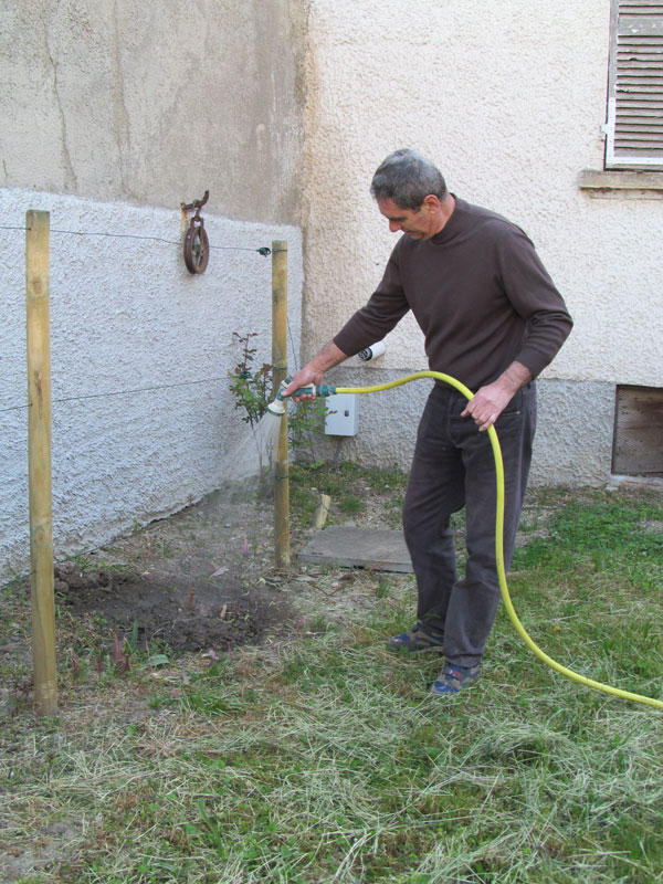 Vigne Arrosage